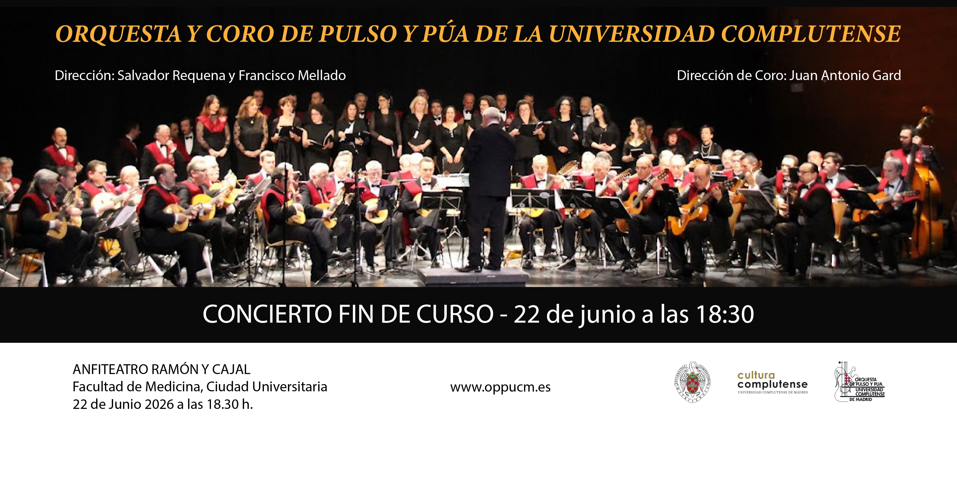 Concierto de Fin de Curso de la Orquesta y Coro Pulso y Púa